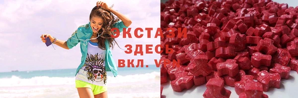 гашик Дмитровск