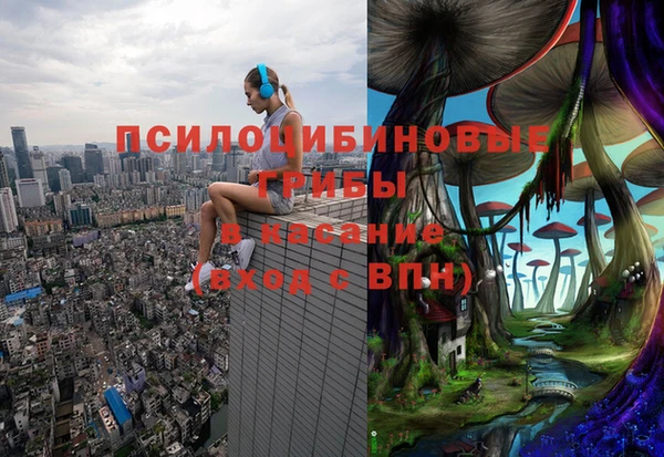соль курить ск Дмитров
