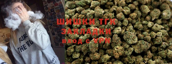 гашик Дмитровск
