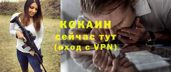 гашик Дмитровск