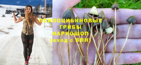 2c-b Гусиноозёрск